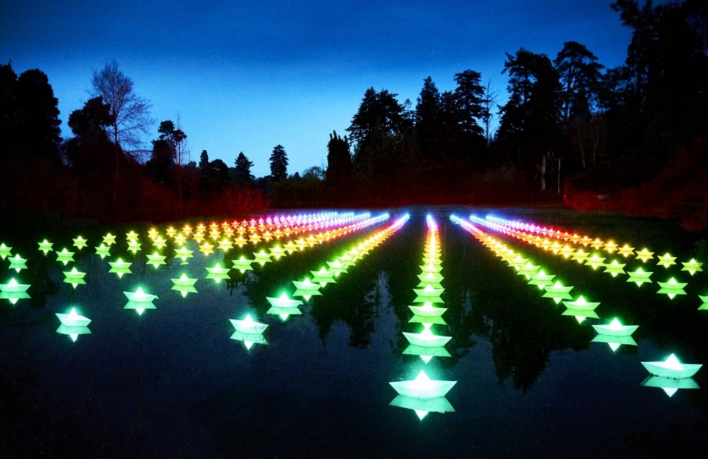 Art meets nature at Bedgebury's magic lightshow